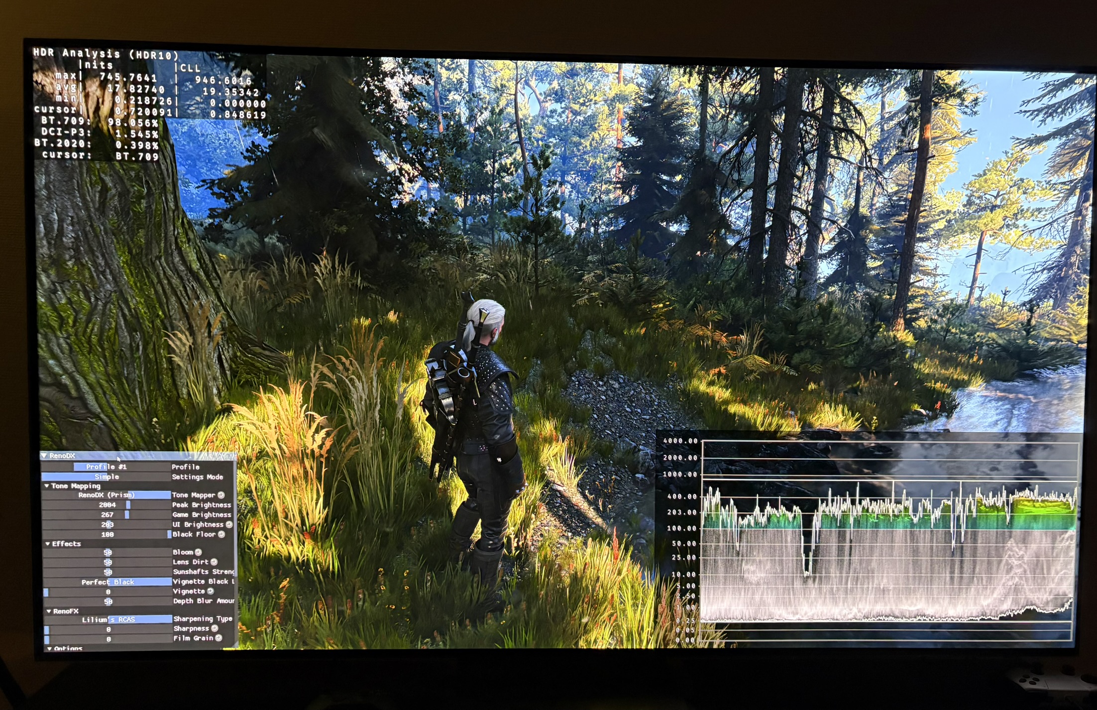 Witcher 3 Remaster HDR screenshot