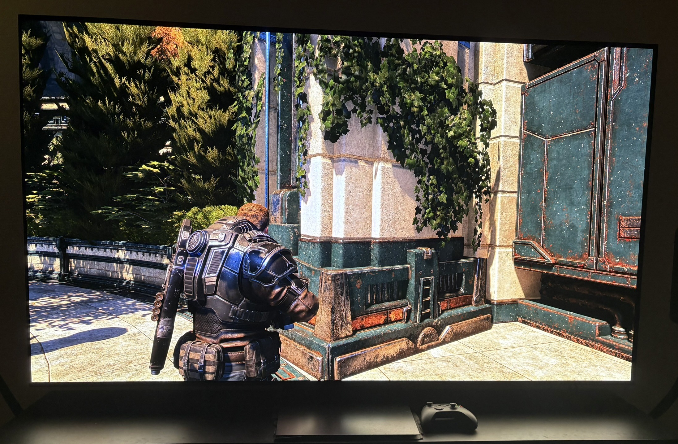 Picture 4